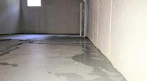 Basement Waterproofing Experts in the Greenville, Spartanburg, SC Areas